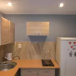 Apartment Dwupoziomowy Dworcowa Bytom